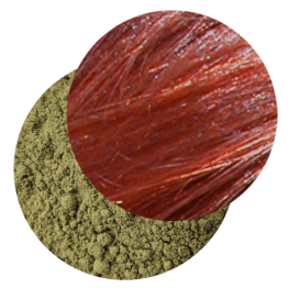 Henné du Rajasthan BIO - Colorant capillaire végétal