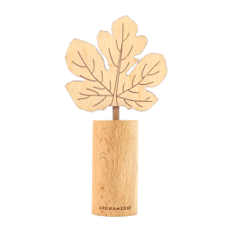 Diffuseur par capillarité d'huiles essentielles en bois