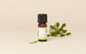 Comment lutter contre l'acné avec les huiles essentielles ?