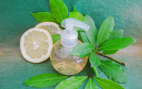 Gel lavant au laurier purifiant pour les mains