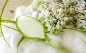 Démaquillant huileux au Lilas blanc
