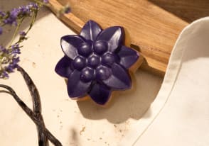 Fleur violette