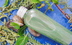 Déodorant ultra frais cyprès vert & menthe poivrée
