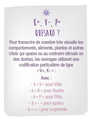 bloc-note_ayurveda_VKPA-Quesaco-01