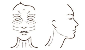 Champignon de massage vect