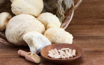 Lion’s mane : quels bienfaits ?