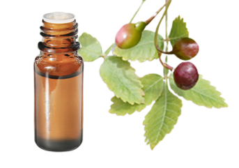 Olio essenziale di bacche di Linaloe