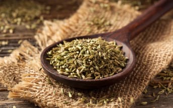 Graines de Fenouil : quels sont leur bienfaits ?