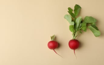 Radis : comprendre ses calories et ses atouts nutritionnels
