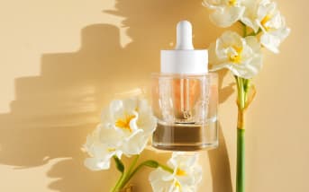Jonquille (Narcissus jonquilla) : définition, propriétés et bienfaits