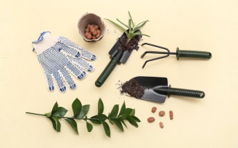 Permaculture : comment transformer votre jardin en écosystème vivant ?