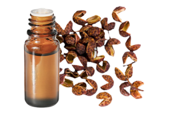 Huile essentielle de Xanthoxylum sauvage