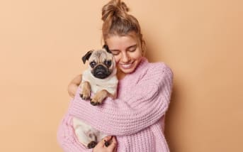 Gingivite du chien : causes et symptômes