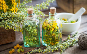Absinthe : Définitions, propriétés et bienfaits ?