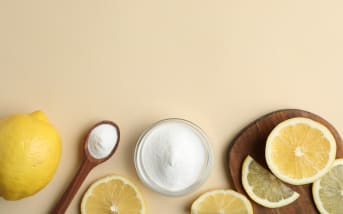 Anti-mosche naturale: soluzioni repellenti efficaci