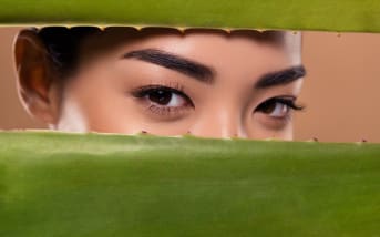 Aloe vera sur le contour des yeux : quels effets ?