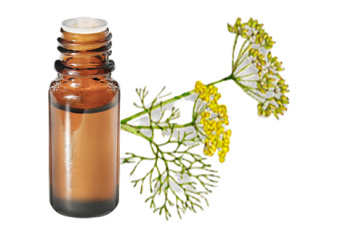 Huile essentielle de Fenouil doux