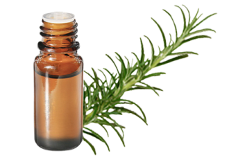 Olio essenziale di Rosmarino verbenone