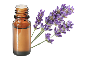 Olio essenziale di Lavanda vera