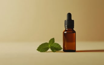 Comment éloigner les moustiques naturellement ?