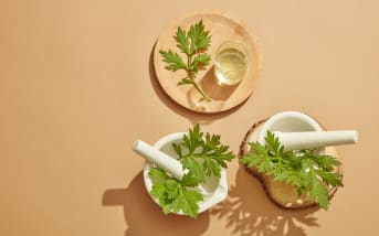 Armoise (Artemisia vulgaris) :  définition, propriétés et bienfaits 