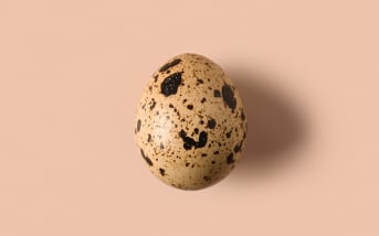L’œuf de caille, allié idéal pour une cuisine saine et gourmande