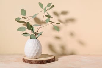 Vivere Green: uno stile di vita consapevole e sostenibile