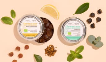 Eucalyptus en hiver : pourquoi et comment l’utiliser ?