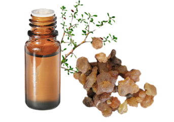Olio essenziale di Mirra