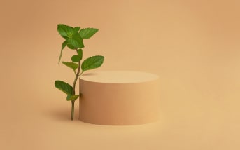 Les usages de la menthe : quels inconvénients possibles ?