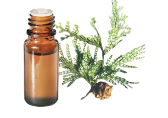 Olio essenziale di Legno di Siam
