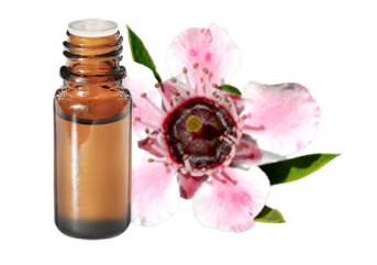 Olio essenziale di Manuka