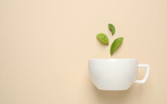 Quels sont les bienfaits du Thé vert en été ?