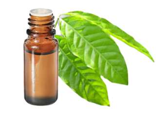 Olio essenziale di Katrafay (o Katafray)