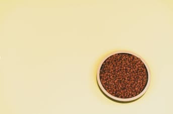 Actif bixine de rocou : quelles sont ses caractéristiques ?