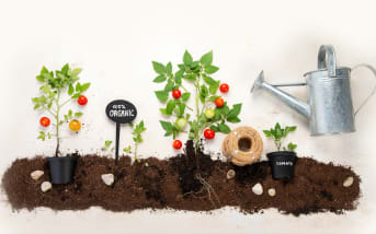 Soins naturels après le jardinage : la parenthèse régénérante