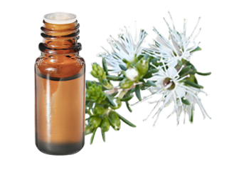 Olio essenziale di Kunzea