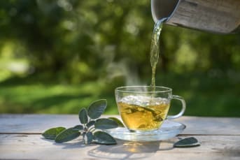 Les super-pouvoirs de la sauge : cette herbe magique va transformer votre quotidien ! 