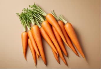 La carotte : comprendre ses calories et ses atouts nutritionnels