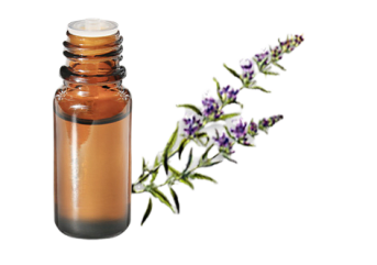 Olio essenziale di Issopo officinalis