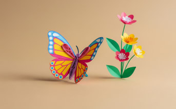 Et si vous faisiez de votre jardin un paradis pour les insectes utiles ?