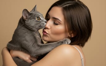 Chat et mauvaise haleine : quels remèdes naturels ?