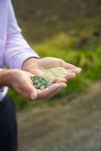 Argilla verde: i suoi incredibili benefici e utilizzi (in cosmetica e da bere)