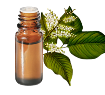 Huile essentielle Baume de Copahu