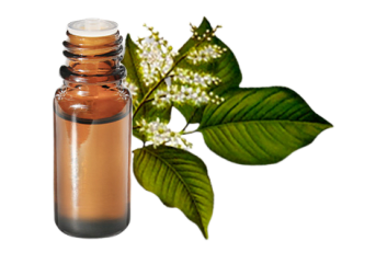 Olio essenziale Balsamo di Copaiba