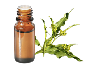 Olio essenziale di Iary