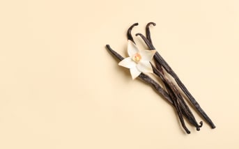 La Vanille (Vanilla planifolia) : définition, origine et bienfaits
