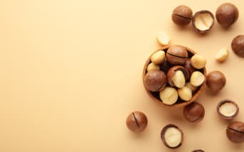Tout savoir sur les noix de macadamia