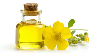 Colza (Brassica napus) : définition, propriétés, bienfaits