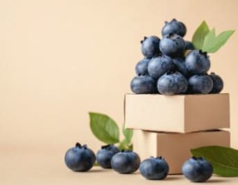 Myrtille et calories : tout savoir sur ses apports nutritionnels
